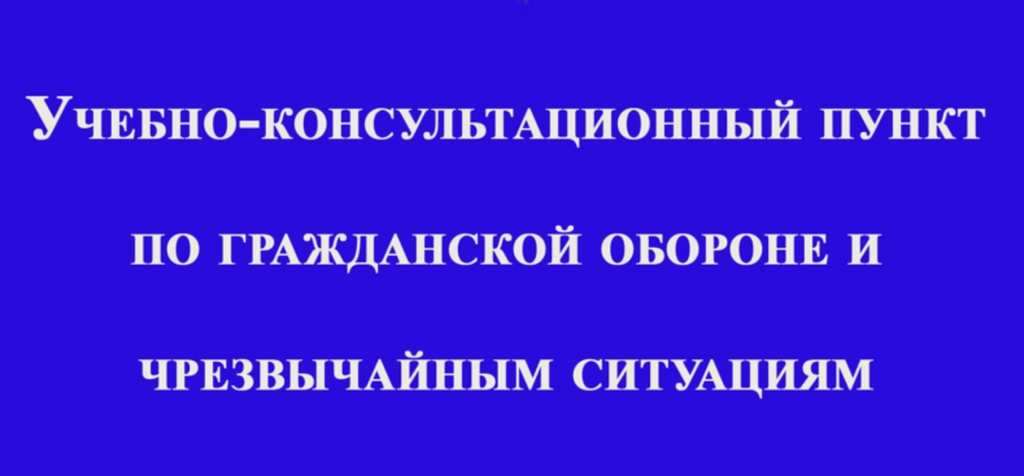 Виртуальный учебно-консультационный пункт.