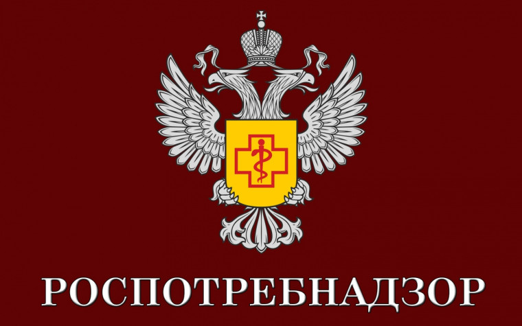 Укажите подпись к картинке. Укажите подпись к картинке.